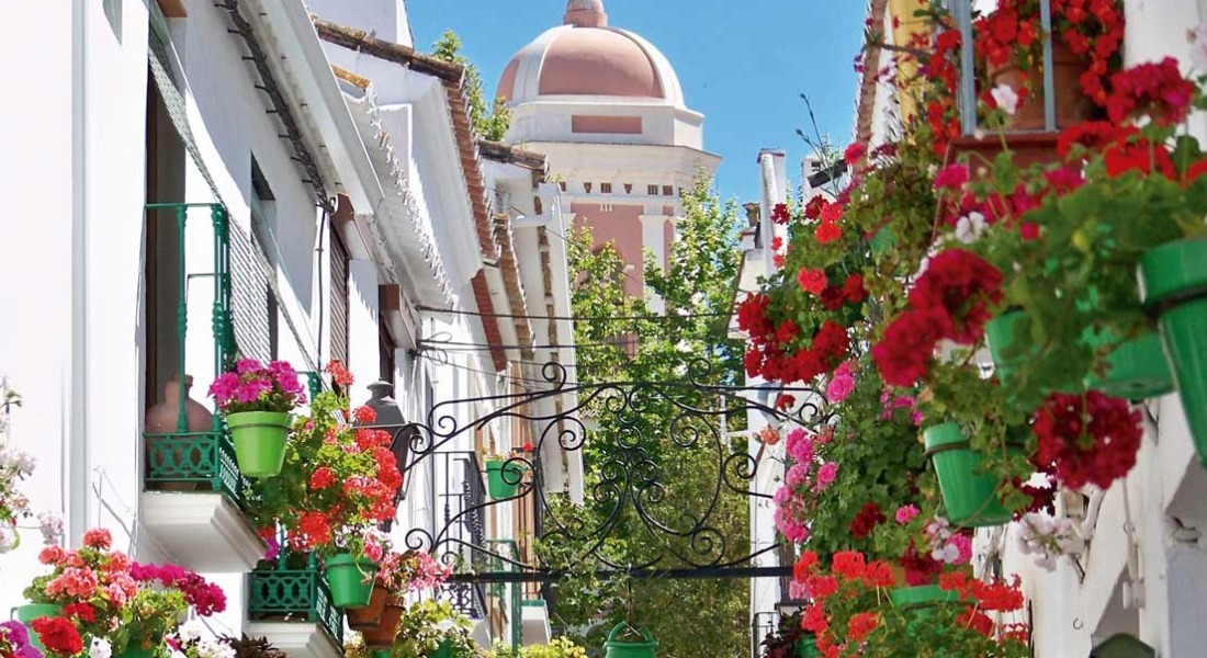 Newsletter 14th of March 2021