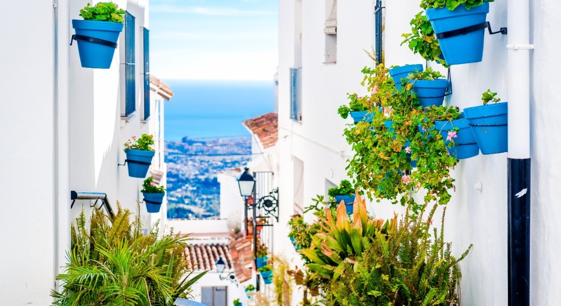 Newsletter 28th of May 2021